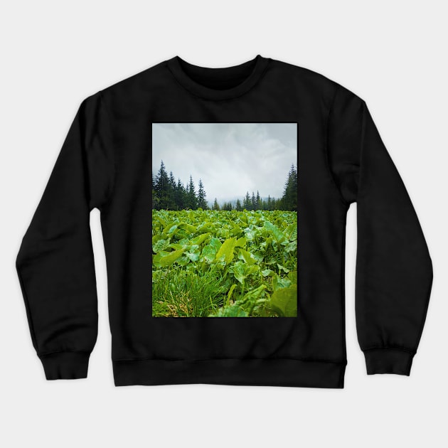 green meadow Crewneck Sweatshirt by psychoshadow